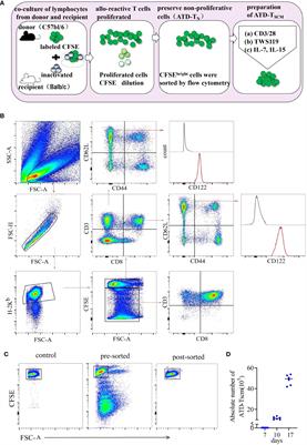 A strategy to reconstitute immunity without GVHD via adoptive allogeneic Tscm therapy